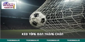 Kèo Tổng Bàn Thắng Chẵn: Nắm Luật Trong Tay, Đọc Kèo Nhạy